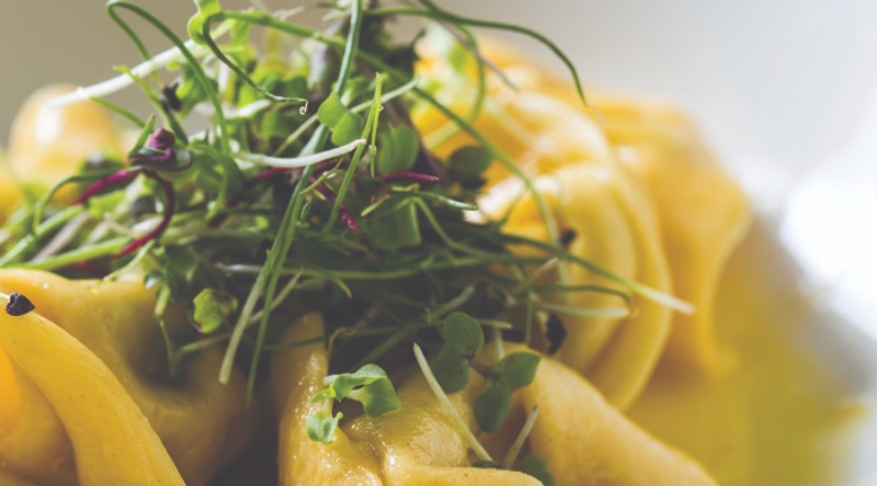 Tortellini de Pato com Jambu