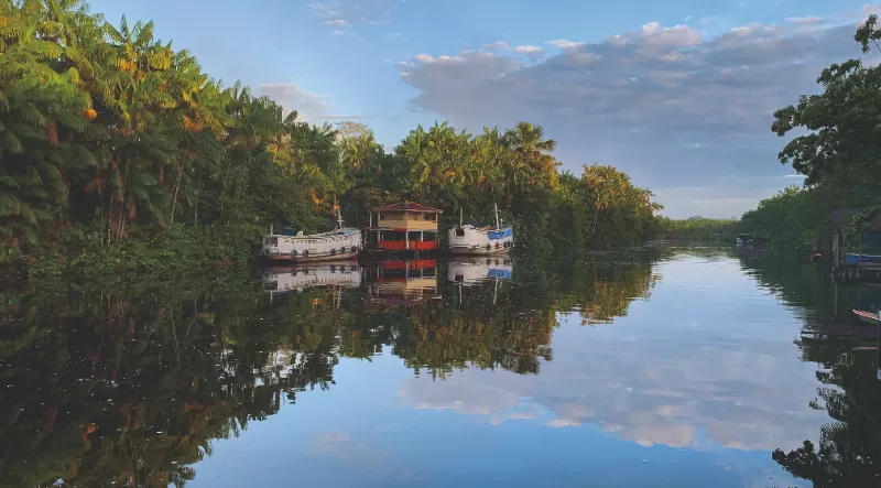 Com edição especial sobre a COP 30, Revista LiV celebra a identidade e cultura paraense
