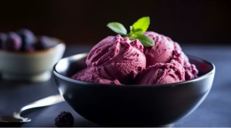Sorvete de açaí paraense ganha destaque entre os 100 melhores do mundo