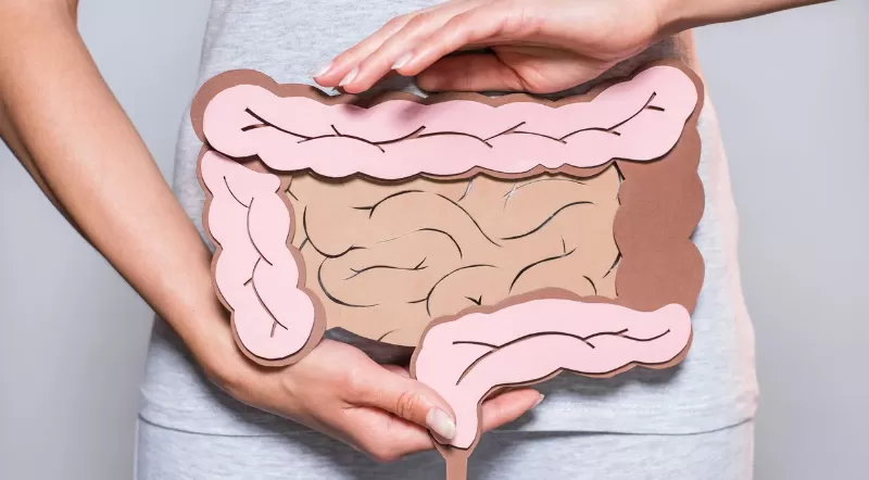 Estudos recentes mostram que a saúde do intestino pode influenciar a saúde mental
