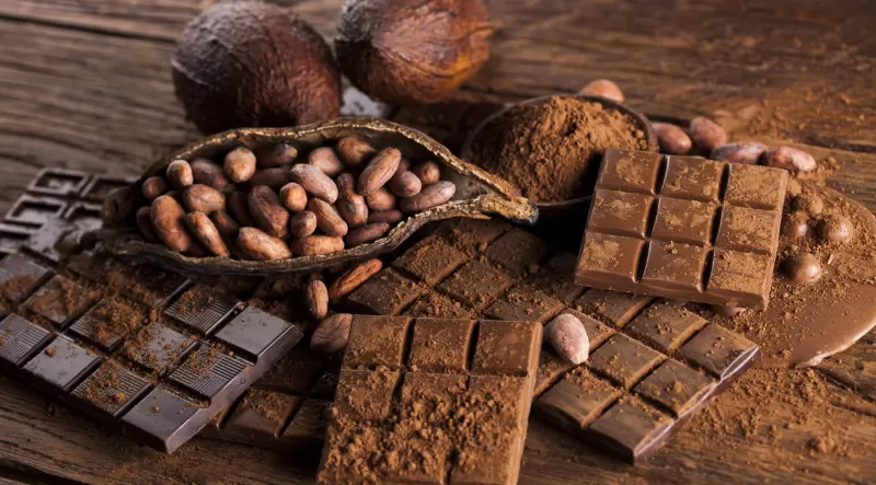 Pará recebe festival internacional do chocolate e cacau de origem