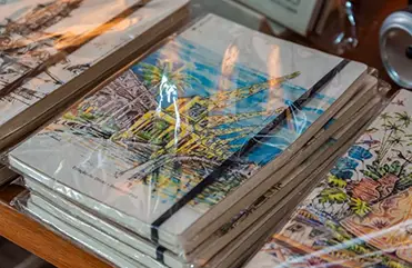 Toda a potencialidade do Papel da Amazônia