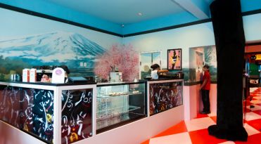 Conheça o Kuro Neko, primeiro espaço cat café de Belém