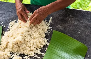 Bragança leva educação amazônica à Columbia University